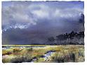 Marsh Storm